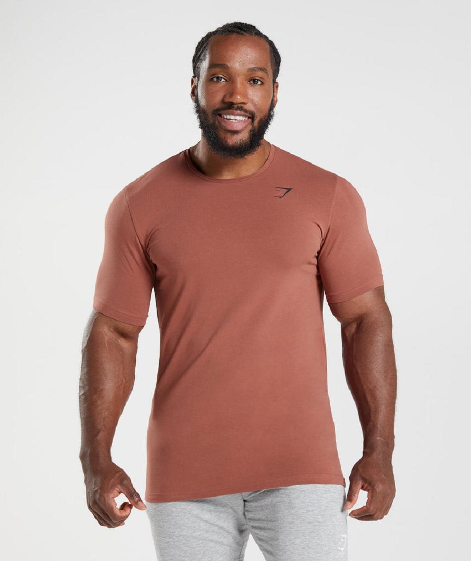 T Shirts Męskie Gymshark Essential Różowe Brązowe | PL 3812RVD